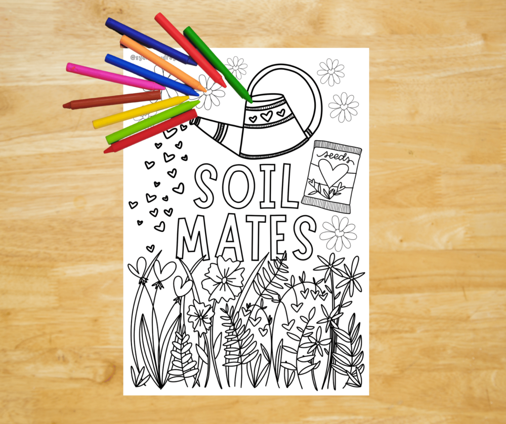 Plant coloring page printable for February Soil Mates